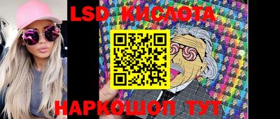 гидра Новодвинск