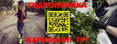 jwh Новокубанск