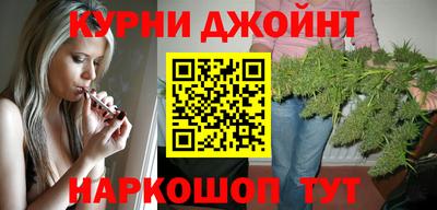 гидра Новодвинск