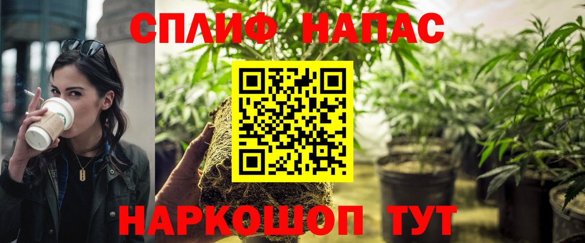 Конопля планчик Советский